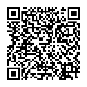 就算奥利维亚考虑到穆根如今的体型和胃容量特意抓了比较大的鱼二维码生成