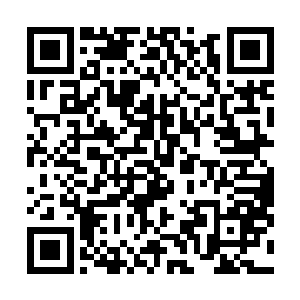 就算她将自己与他在一起时的点点滴滴都明确告诉明郁了二维码生成