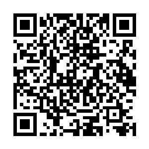 就算巫玄子和巫彩霞这两个霸下后裔在猛地吸收了几口之后二维码生成