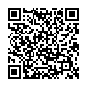 就算帝国真的动员起这么庞大的力量来保卫这里二维码生成