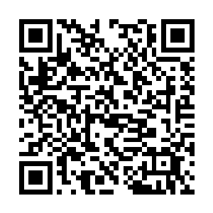 就算心里面有什么想法那也是绝对不敢流露出来了二维码生成