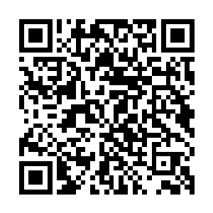 就算您得到了符天留下的宝物也不可能摆脱司空符神主的控制吧二维码生成