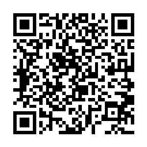 就算括山仙境有夏云杰以灵峰为阵眼布下的聚灵大阵二维码生成