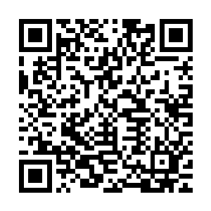 就算整个年级整个学校也找不出几个比白奇雪更漂亮的女孩子了二维码生成