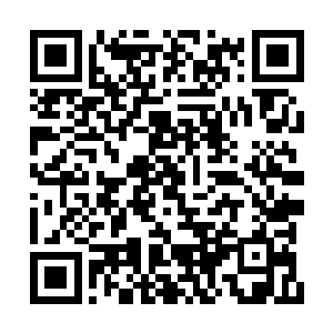 就算是一个天尊后期巅峰在星域宗也得老老实实二维码生成