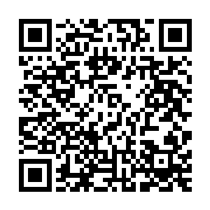 就算是一只苍蝇想要从人群中过去都变成了不可能完成的任务二维码生成