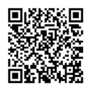 就算是与此世号称最强存在的五方天帝相比……二维码生成