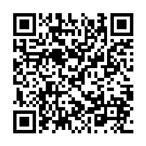 就算是他们八人联合起来都不一定能打出魔界通道二维码生成