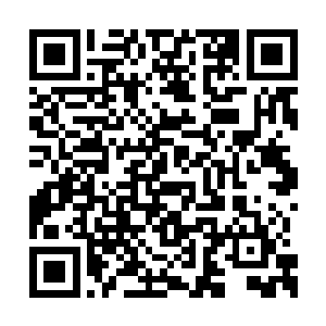 就算是他老子齐成益想要用血冥的人也得掂量着二维码生成