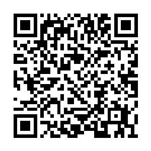 就算是仙尊高手恐怕也不敢轻易的跟他们对碰吧二维码生成