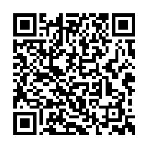 就算是仙道觉醒有着凌驾于所有觉醒的爆发力量二维码生成