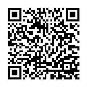 就算是六转天空圣师也无法如此轻易的挡住我施展的天阶战技二维码生成