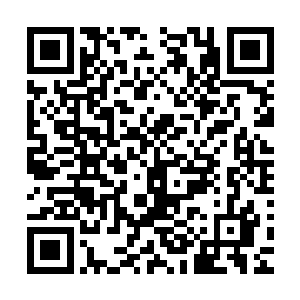 就算是史三八这样的追击战高手也没见过有人在树里放炸弹的二维码生成