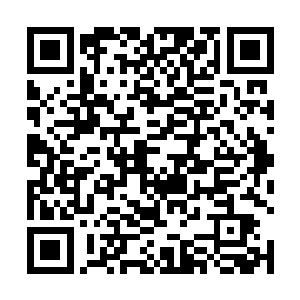 就算是唐劫驾驭着大威战船也躲不过这么多手臂的拍击二维码生成