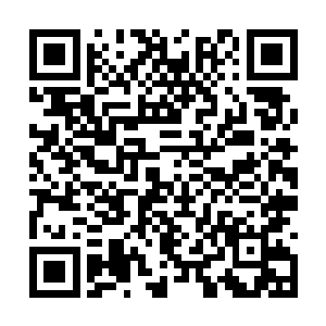 就算是在青云天域……也能造就出排行前几的杀手二维码生成