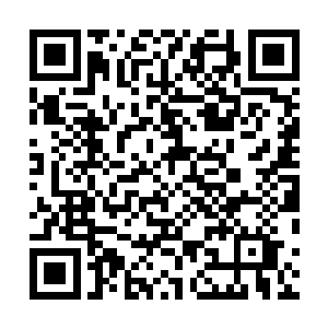 就算是外面的布鲁诺和赛提尔都感觉有那么一些接受不了二维码生成