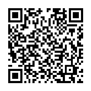 就算是她一生一世只能作为一只丑陋可怕的尸兄活下去二维码生成