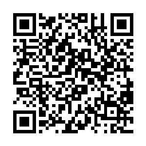 就算是她去找人也不可能找到能和篮球部对打的人啊二维码生成