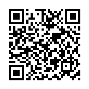 就算是家中养着的上师也没见哪个用出来过二维码生成