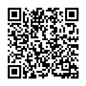 就算是我在被蓝魂侵袭的过程中意外地得到了什么机遇二维码生成