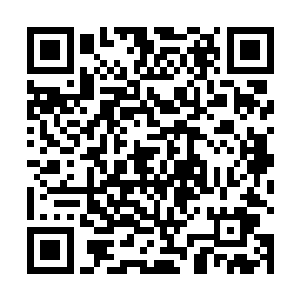 就算是拿到了金棕榈的昆汀归来估计也就是这种程度了二维码生成