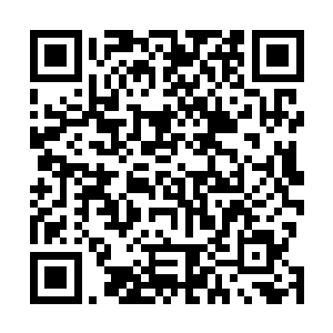 就算是指派他们的大鼓城后勤领导都不会认错这些假手下二维码生成