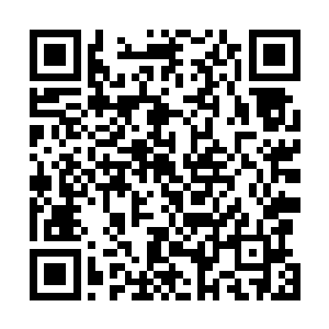 就算是掌握了治愈法则的人也顶多能够治疗一些伤势罢了二维码生成
