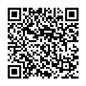 就算是排在前面的人很可能有一部分是有天赋没实力的水货二维码生成