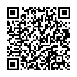 就算是最强大的追魂灵蝶也无法再锁定住什么气息了二维码生成