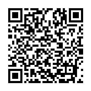 就算是朝元宗也不过是依附在三圣宗之下苟延残喘而已二维码生成