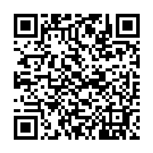 就算是汪念林这样的花花公子也从来都没这么浪漫过二维码生成