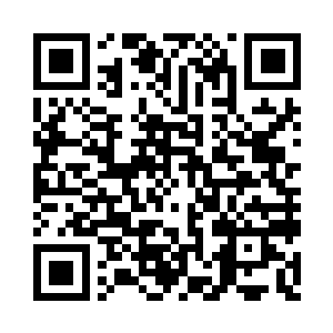 就算是没有叶玥的是定王府也不可能不查二维码生成