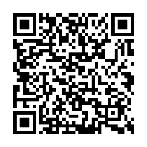 就算是珍贵的补药也不及他血液本身的万分之一二维码生成