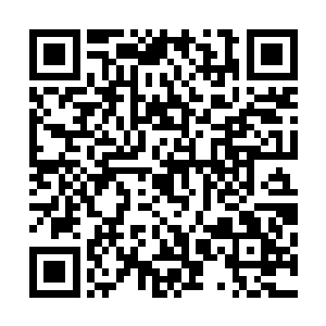 就算是看到了神圣的强大存在也会因为此间画面而感到惊恐二维码生成