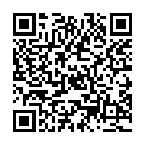 就算是至尊境界在那里也不过是随处可见的小角色罢了二维码生成