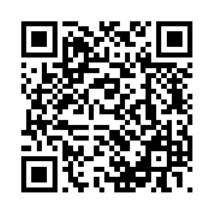 就算是苏阮阮也不可能动摇他的半分决心二维码生成