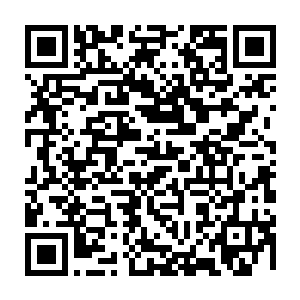 就算是被当成了玩具被小虎鲸拿来玩闹那和保住小命比起来也是不值一提的二维码生成