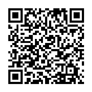 就算是让范追风出手去追捕这名上忍也不一定有什么结果二维码生成