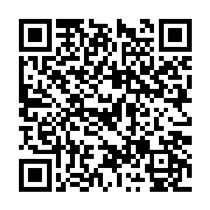 就算是身体健康的战士也不一定能每次都随队狩猎二维码生成