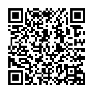 就算是麒麟想要全部找到没有十天半个月也是很难办到的二维码生成