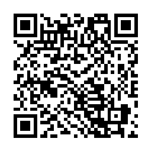 就算本少看在同属于人中城的份上想要为你说情也办不到二维码生成