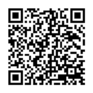 就算楚京被北境占去了以定王只能定然是可以夺回来的二维码生成