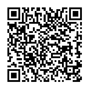 就算江少游这两年悄悄地用自己的赌术在各大赌场圈了不少钱的话二维码生成
