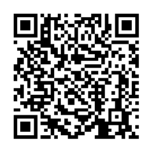 就算爆发的三族大战也不可能让仙界发生第二层破碎二维码生成