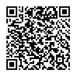 就算真的跟沐扬有关系用这种方法决定自己的未来未免对自己太不负责任了一些二维码生成