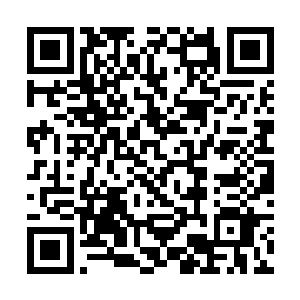 就算真要投降……那也得先探一探对方的斤两才说呀二维码生成