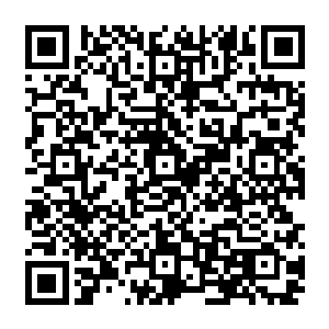 就算自己拿出极品飞车一般的狂飙车技……难道引着这么多直升机和地面车辆回山上二维码生成