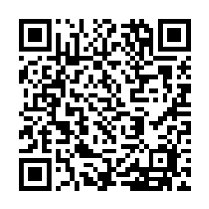 就算苏凡想要从新安排人手来接管也是不可能的事情二维码生成