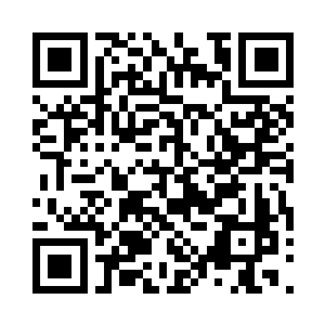 就算这在心魔期远称不上强大的金银二老二维码生成