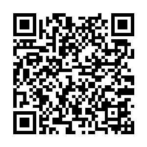 就算这胖子有什么阴谋在绝对实力差距面前也不怕二维码生成